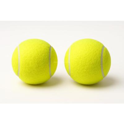 Busstier 2'li Köpek Oyun Topu 7.5 cm Orta Boy Premium Kalite Tenis Topu, Eğitim ve Oyun Amaçlı, Dayanıklı Evcil Hayvan Oyuncağı, Diş Dostu Tasarım
