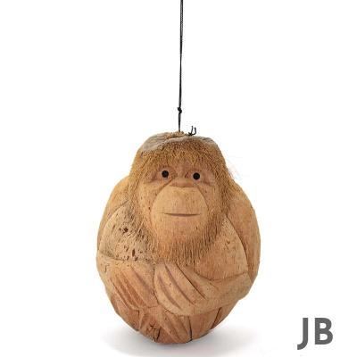 Coconat Maymun Büstü 3marakas-7