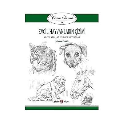 Evcil Hayvanların Çizimi - Çizim Sanatı 9: Köpek, Kedi, At ve Diğer Hayvanlar