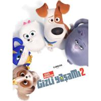 Evcil Hayvanların Gizli Yaşamı 2