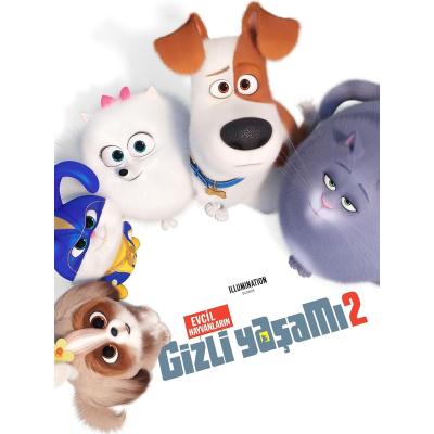 Evcil Hayvanların Gizli Yaşamı 2