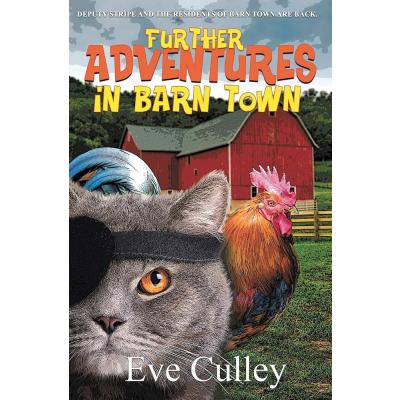 Further Adventures in Barn Town