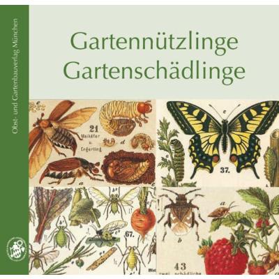Gartennützlinge - Gartenschädlinge