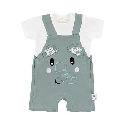 Gezenbebe Hero Kısa Kol Bebek T-Shirt & Nakışlı Salopet Seti Elephant 6-9 Ay