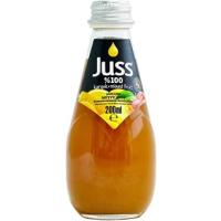 JUSS Cam 200 ml%100 Karışık Meyve Suyu