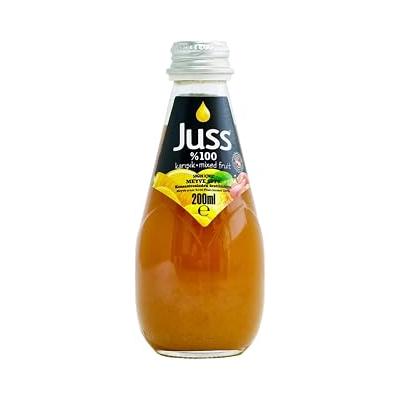 JUSS Cam 200 ml%100 Karışık Meyve Suyu