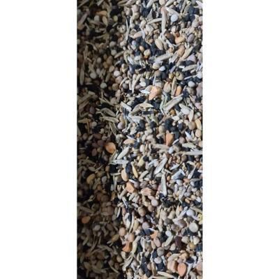 VerseleXLaga Yabani Sağlık Tohumu 500 gr