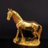 Gold Renk At Biblosu