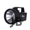 Güvenlik Feneri 30 W Kuvvetinde Wt-401