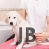 Kedi Köpek Tüy Toplayıcı  Pet Tarak 20 Cm