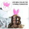 Kenarları Dantelli Fuşya Pullu Payetli Led Işıklı Tavşan Kulak Taç 23x19 Cm
