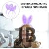 Kenarları Dantelli Mor Pullu Payetli Led Işıklı Tavşan Kulak Taç 23x19 Cm