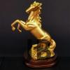 Şaha Kalkan Gold Renk At Biblosu